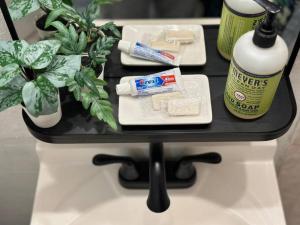 Charming Jax Apt for 4 with free parking