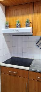 Charming apartment in São Pedro do Sul 30 m² with lake view