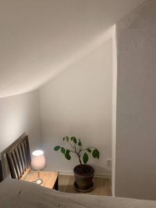 1800 tals Sjötorp med egen strand och brygga