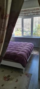 Ebruli Cennet Bahçesi