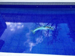 Lomas de Cocoyoc , Family- Friendly