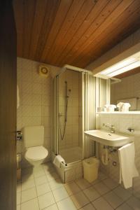 Budget Double Room room in Hotel Alpha Thun