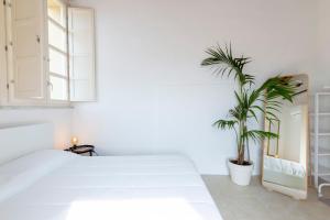 Penthouse with Terrace in historic centre img11