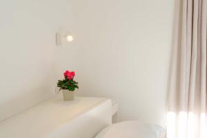 Guest House Deidda - TS ROOMS B&B img38