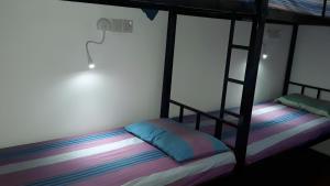 Bed in 8-Bed Dormitory Room room in Colombo City Monkey Hostel