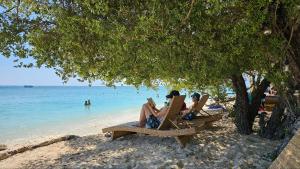 Villa Penyu Gili Trawangan