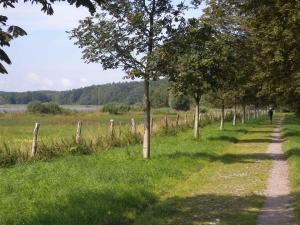 Holiday home in Bergen - Insel Rügen 2847