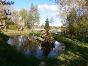 Holiday home in Skrdlovice 1383