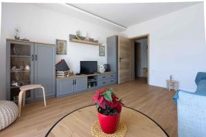 Apartments in Crikvenica 39143