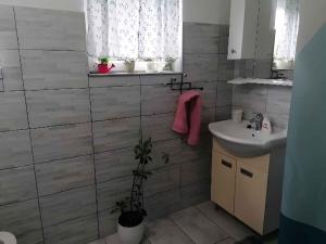 Apartment in Rovinj - Istrien 11648