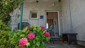 Holiday home in Senj 17085