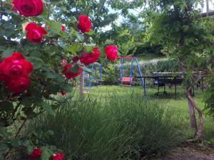 Holiday home in Dobrec 15115 