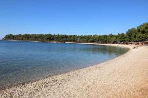 Apartment in Novigrad/Istrien 9390 