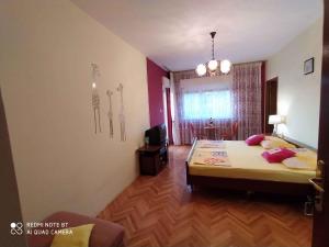 Apartments in Vinisce 7337