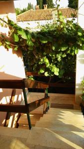 Apartments in Umag - Istrien 12110