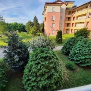 Apartment in Bükfürdo 20399 - Bükfürdő