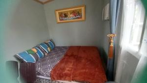 BOHOL Simple and Elegant Furnished Studio