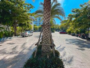 Studio Apartment Diana Estate Condominium