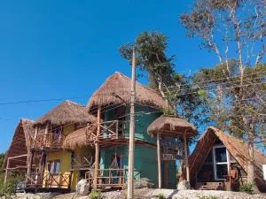 coa de collar - Chicanna