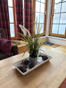 Steinadler Seekarspitz FL - Skiing Holiday in Obertauern