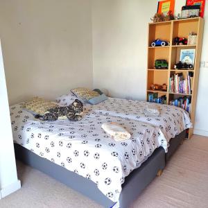 Homely Spacious 3 bedrooms duplex with roof-top next to Victoria Park & regents canal in vibrant East End London