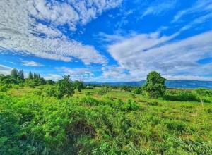 Pool Villa Happiness Lush Valley