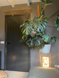 Vakantiehuis Hof Molenzicht