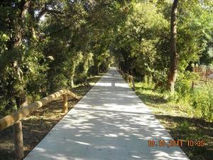 Campings Le TropeZen Confort Plus TV WIFI VOD Salle de Sport ! : photos des chambres