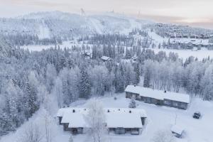 Mama Bear - near by the slopes and Ruka Village