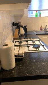 Cosy Apartment in London