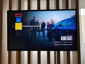 Central luxury apartment Iasi