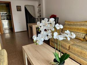 Apartments in the Heart of Santa Pola