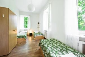 Downtown Forest Hostel & Camping