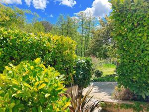 Appartements CITE PAOLINE studio calme avec terrasse, parking et internet, One-room apartment quiet with kitchen, terrace, parking and internet : photos des chambres