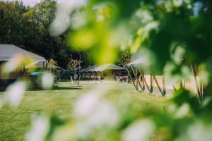 Glamping de Bosweide