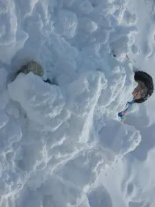 Villa Les Bruyères - Pommiers-pres Voreppe