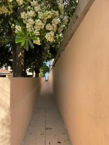 Habitacion Playa Linda 103