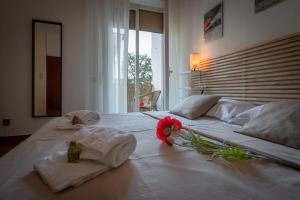 Welcome to Casa di Lucca - Your Friendly Retreat with Terrace and Parking