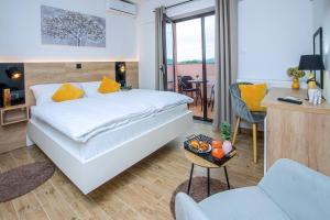 Apartment & rooms Vila Toplissa