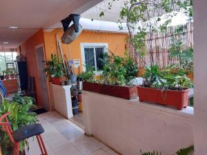 5 Estudio Planta Alta con terraza