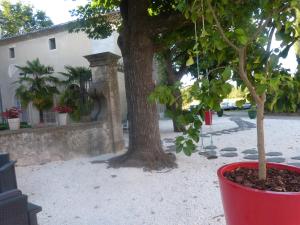 Mas Moïse photo 24