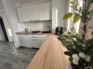 1 Mai - Luxury Park Apartments - Self Check-in - Private parking - 1