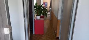 Les Marguerites Aux Lotz