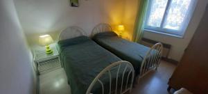 Les Marguerites Aux Lotz