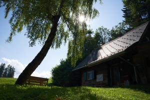 Gregors Ferienhaus im Wald