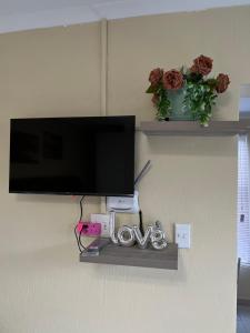 MorningMist Boutique Sun