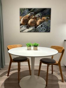 Studio neben Therme für 2 Erwachsene neu renoviert