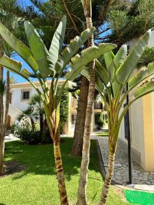 Palm View Apartment Vera Coast