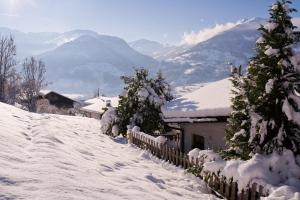 Chalet Irmi Hart im Zillertal