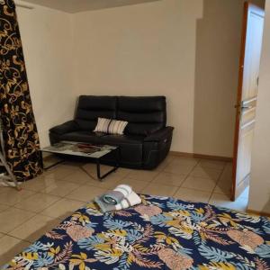 Les Cigognes de Andolsheim